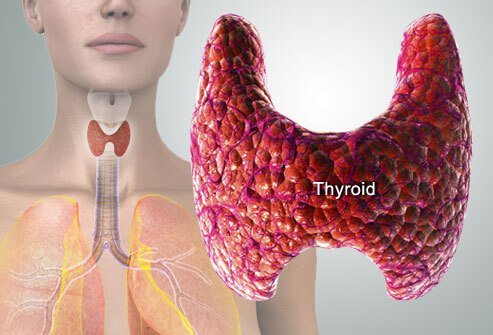 Щитовидна-жлеза-лечение