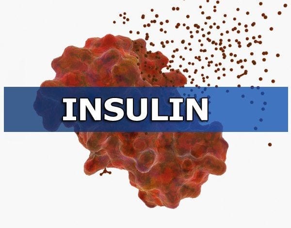 хормонът инсулин