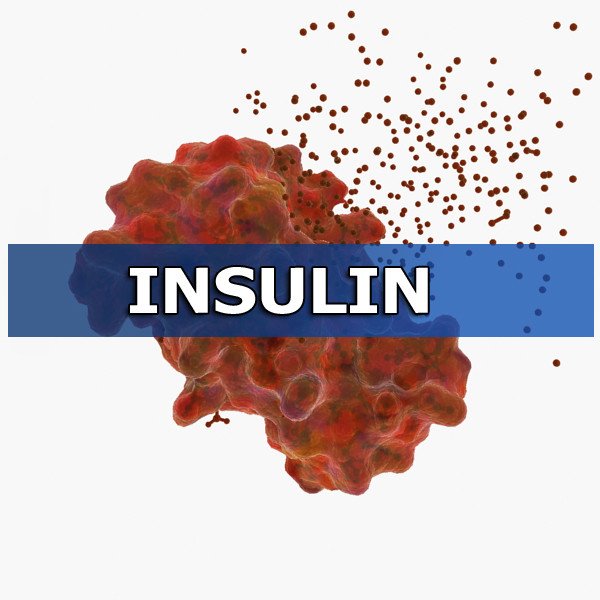 хормонът инсулин