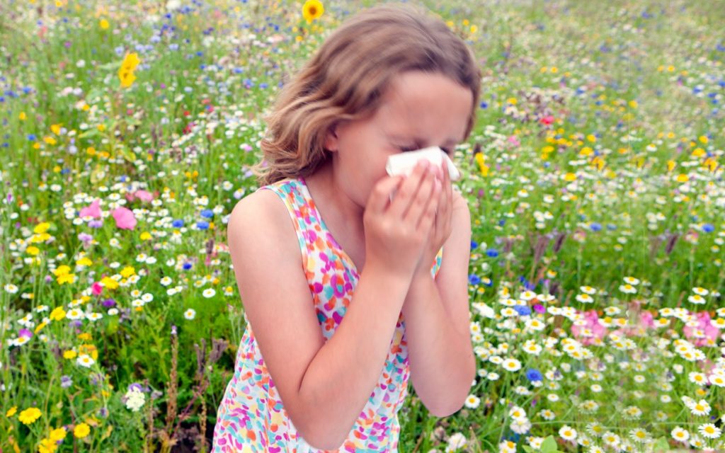 алергиите-при-деца-причини