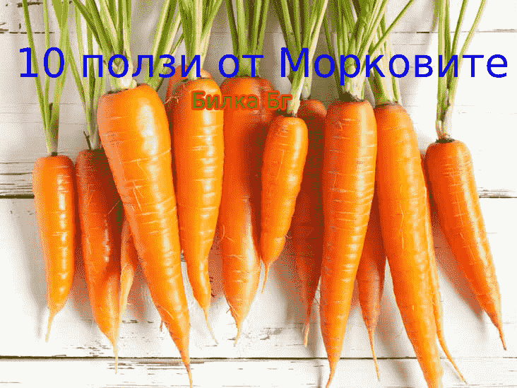 10-ползи-от-Морковите
