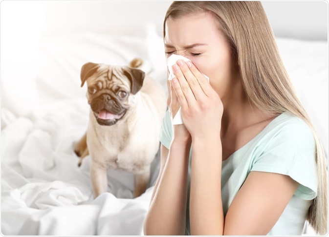Алергии към кучета