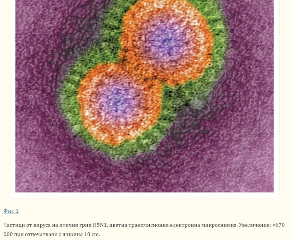  Поява на вирус H5N1